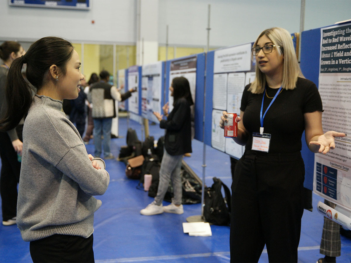 Toronto Metropolitan University